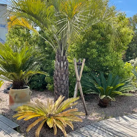 Casa Di Lortu * Ajaccio (Corsica)