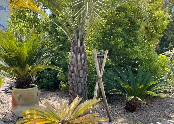 Casa Di Lortu * Ajaccio (Corsica)